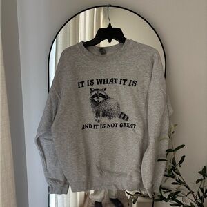 Gildan Gray Sweatshirt with Raccoon Design